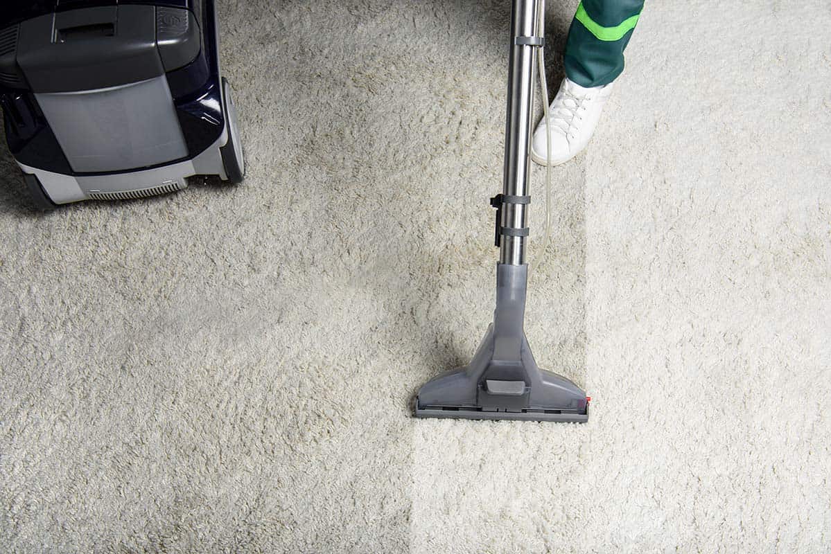 a carpet cleaner vacuuming a white carpet in Putney household