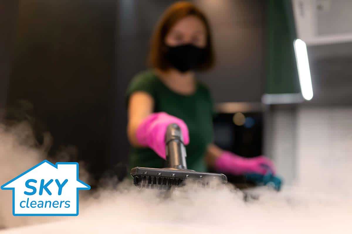 professional cleaner steam cleaning